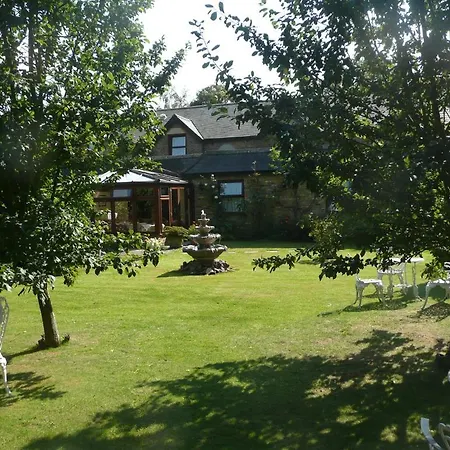 Cottage Guest House-3